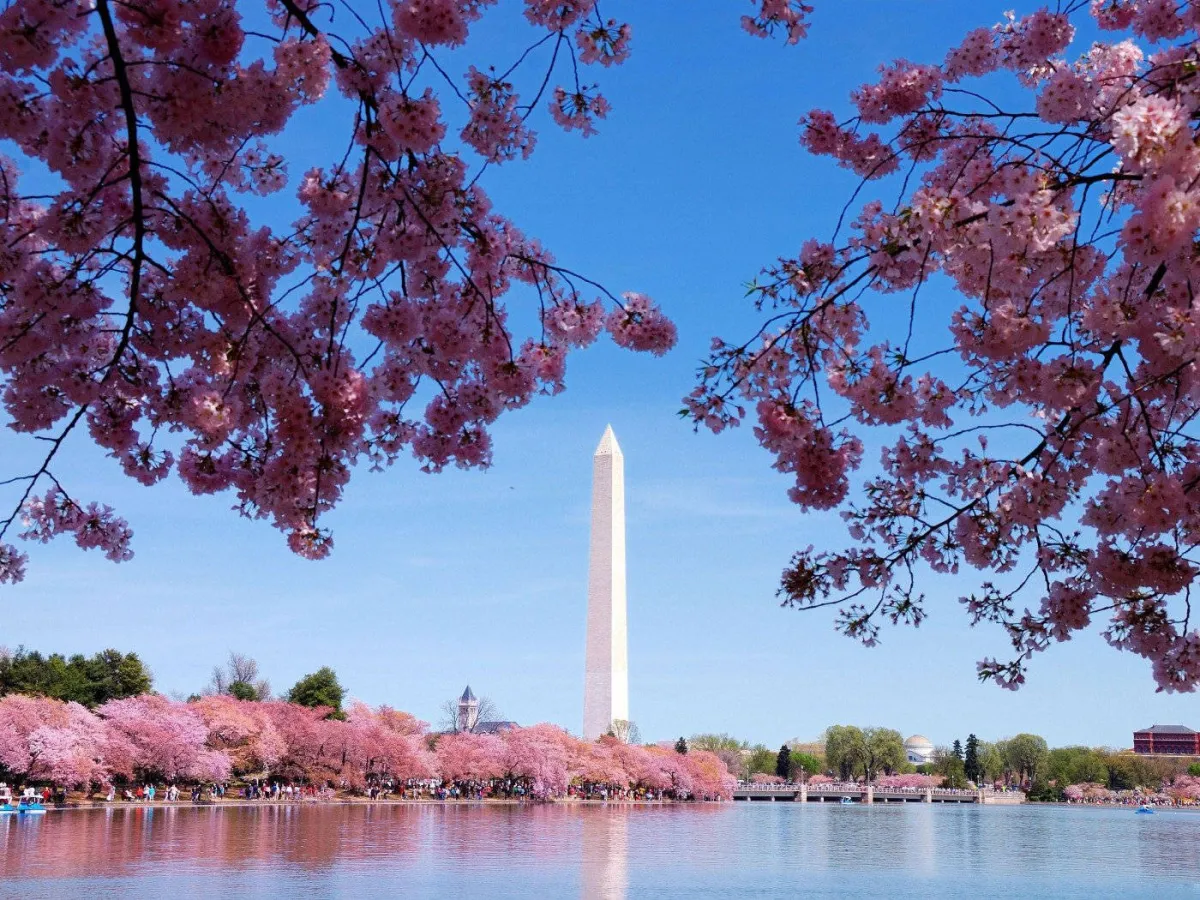Washington
