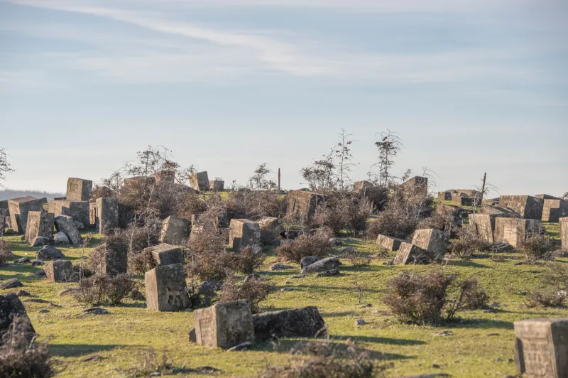 Rest in Pieces: The Long American Habit of Moving the Dead Out of the Way